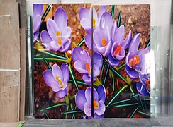 16 - Digital Printed Glass
